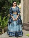 Adorable Sky Blue Zari Weaving Kanchipuram Silk Lehenga Choli